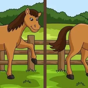 Encontre os erros: Cavalo no pasto