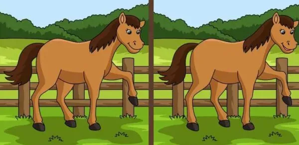 Encontre os erros: Cavalo no pasto