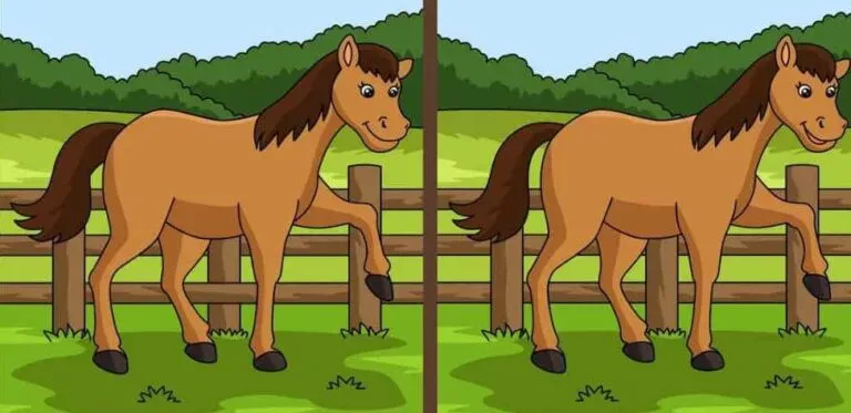 Encontre os erros: Cavalo no pasto