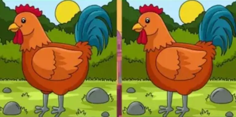 Encontre as 3 diferenças no galo!
