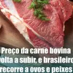 Carne Bovina Volta a Subir em Novembro de 2024