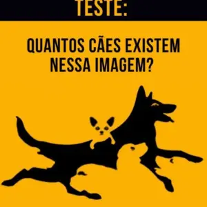 Quantos Cães Você Consegue Ver?