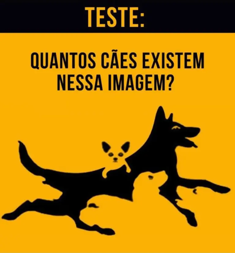 Quantos Cães Você Consegue Ver?