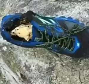 O misterioso caso dos pés calçados que apareceram nas praias do Canadá