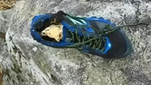 O misterioso caso dos pés calçados que apareceram nas praias do Canadá