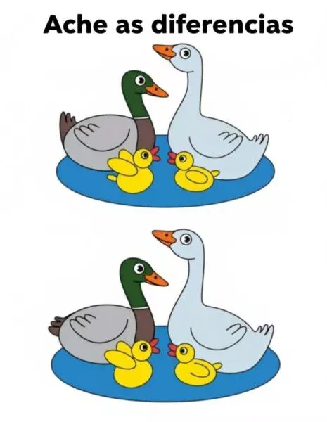 Ache a Diferença: Patos e Filhotes na Lagoa