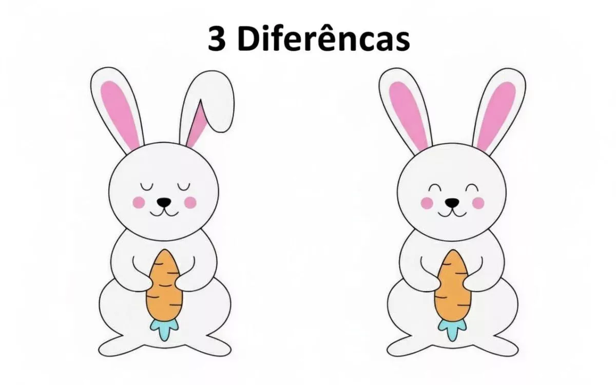 Ache as Diferenças: Coelhinho e sua Cenoura