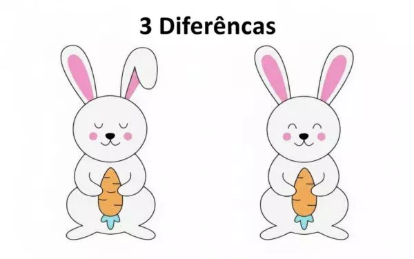 Ache as Diferenças: Coelhinho e sua Cenoura