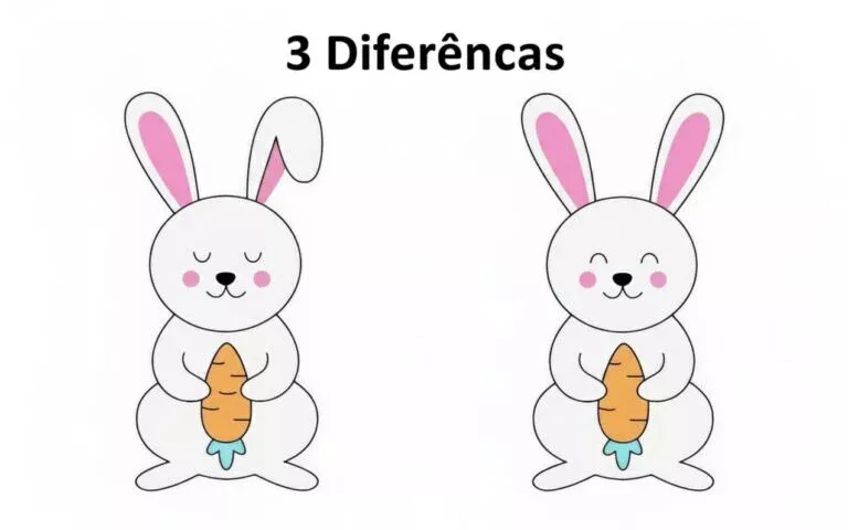 Ache as Diferenças: Coelhinho e sua Cenoura