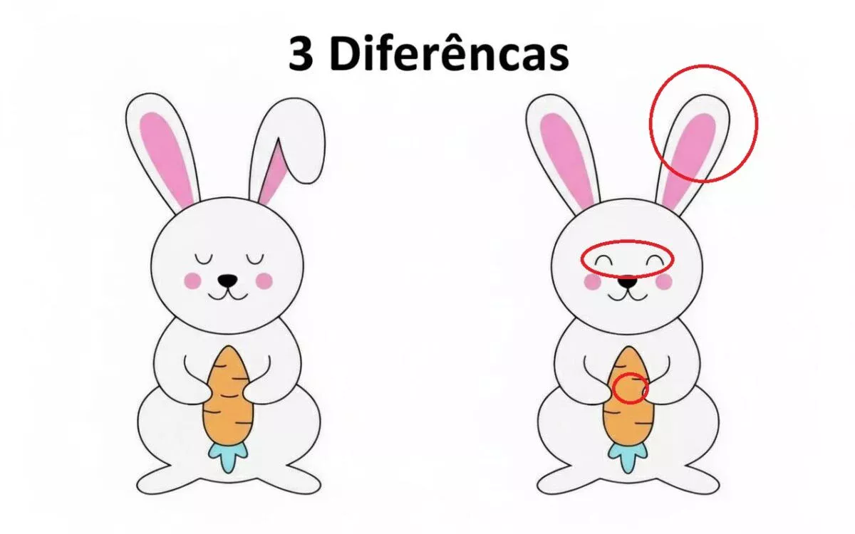 Ache as Diferenças: Coelhinho e sua Cenoura