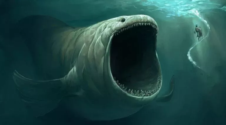 O Som Misterioso do Bloop no Oceano Pacífico