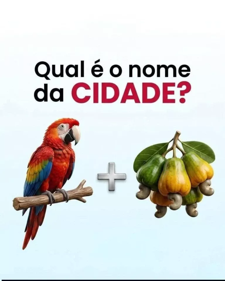 desafio da cidade escondida arara caju