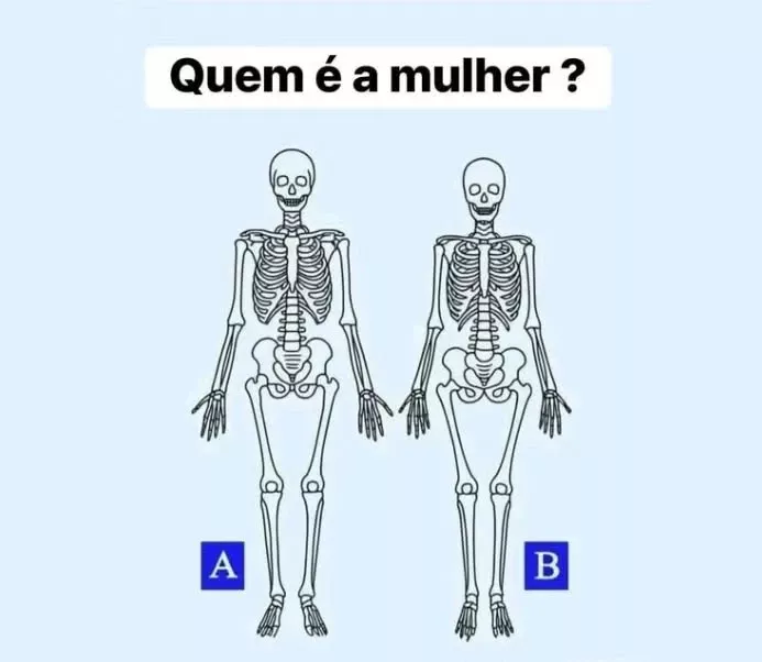 desafio quem e a mulher