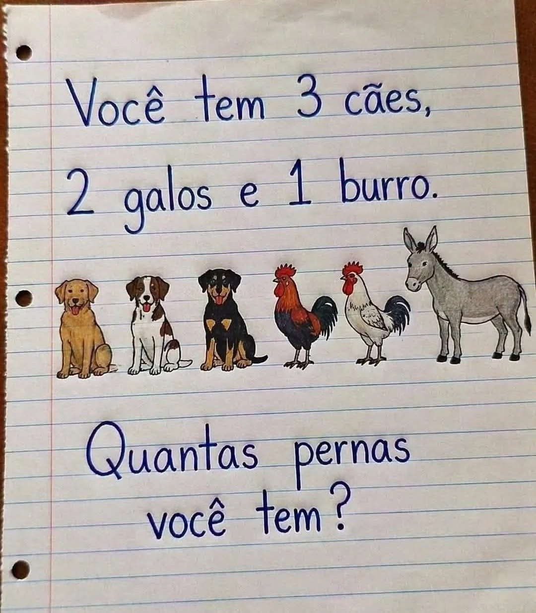 quantas pernas voce tem desafio logica